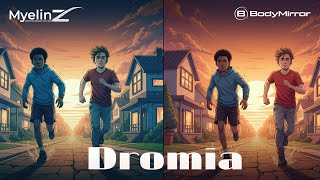 Dromia