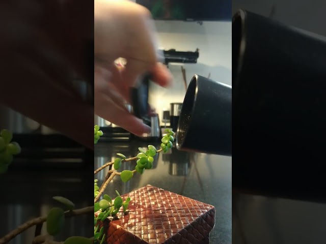 Vídeo relacionado con Carmencita Pimienta Negra Molida, Sin gluten, Tarro de Cristal con Tapón Dosificador 52g