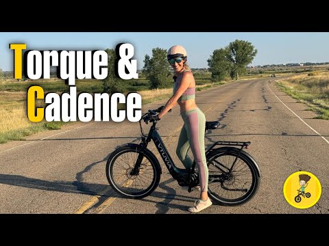 VTUVIA CMB Pro premium mid drive ebike review