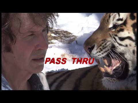 Neil Breen's Pass Thru in 20 Minutes