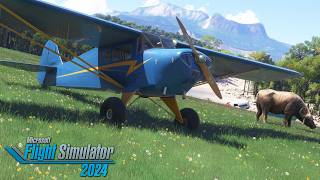 AvAngel Is A Sellout & A Shill EXPOSED! (Got Friends Taylorcraft BC-12D) - MSFS 2024