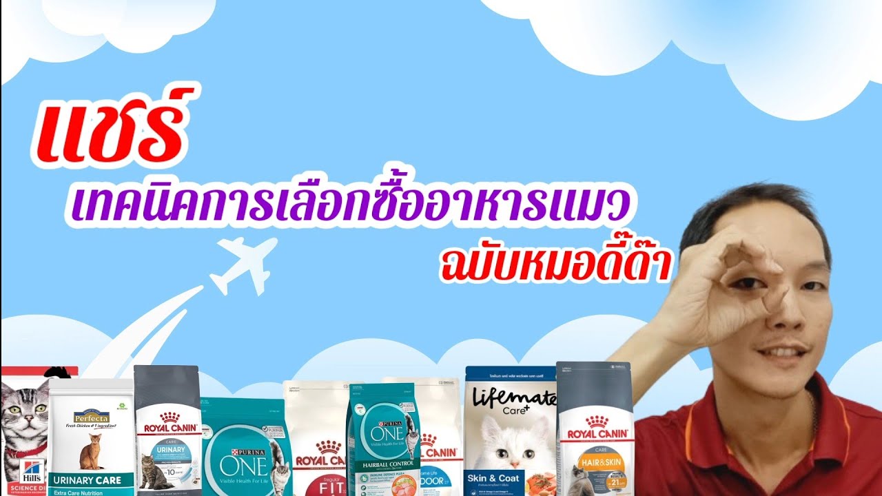 สรุปเทคนิคเลือกซื้ออาหารแมวให้ถูกใจ ถูกโรค และสุขภาพดี จากหมอดี๊ด๊า
