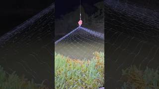 Download lagu MANCING SAAT MALAM HARI MENGGUNAKAN PANCING JARING #mancing #short #fishing mp3