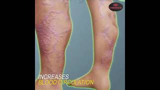 312374859 802987130938680 6573320754610758783 n