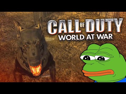 Call of Duty World at War 13 YEARS LATER... (WaW in 2021 on PC)