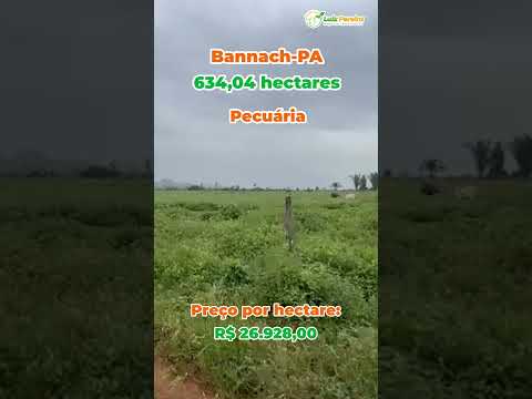 Fazenda em Bannach PA 634,04 Hec., Pecuária, 532,4 Hec., em pastagens, Planaa, Argila de 35% Á 40%