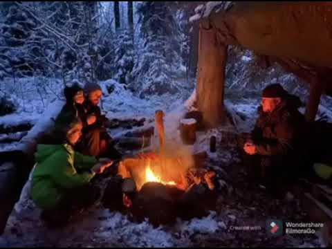 Happy new year from my sacred forest!