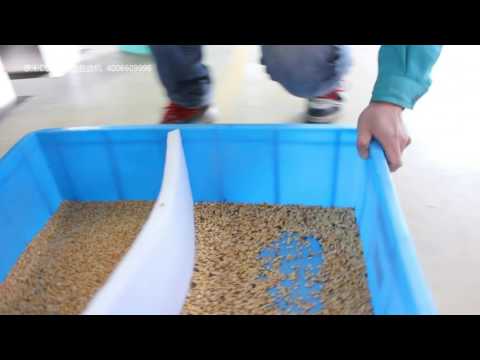 Taiho Lens color sorter