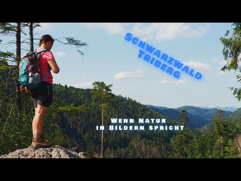 Dokumentation Wandern im Schwarzwald Triberg
