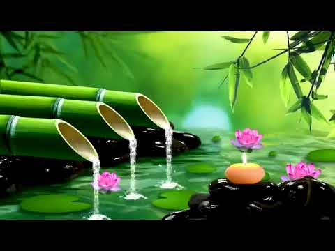 Relaxing music 🎵 Sleep Music 💤 Stress relief Music, Spa, Meditation, Yoga, sleeping music 🎶