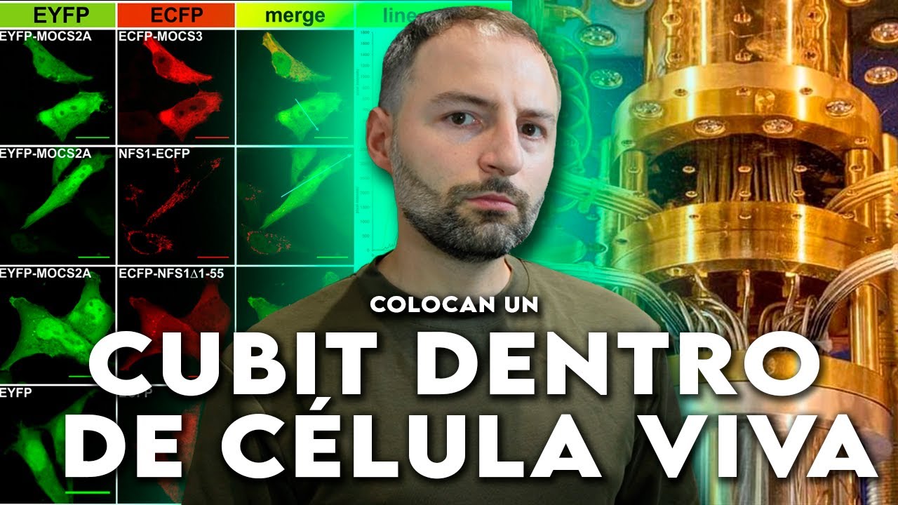 University of Chicago Researchers Engineer Protein-Based Qubits for Quantum Sensing in Living Cells