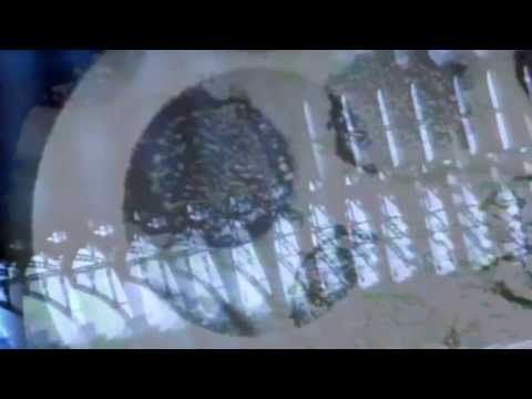 Clara Moto -   Lyra (feat  Mimu) [unofficial, fan video 2013]