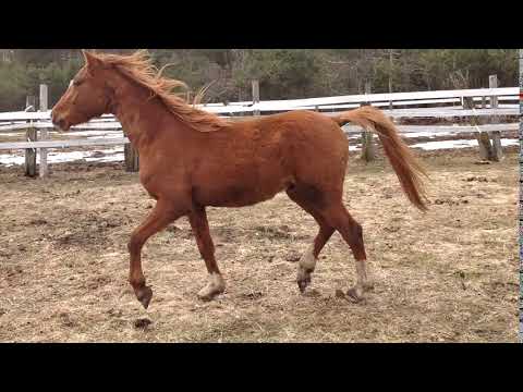 KariRoyaltyApril2019IMG 3260