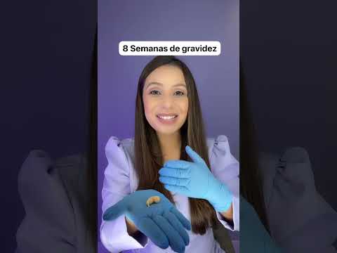 8 semanas de gravidez, olhe essa maquete do tamanho real do feto