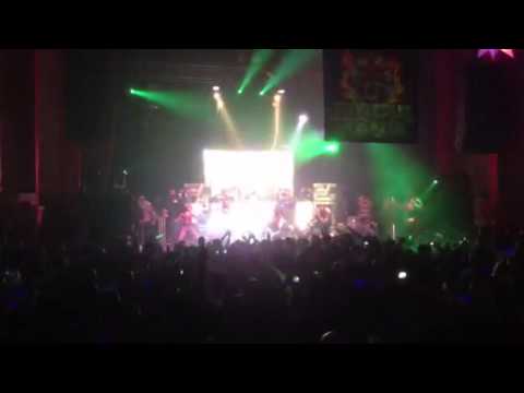 20 years of Jungle Mania