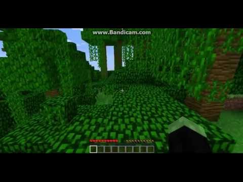 Inspiration for Gonki