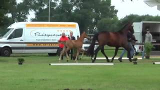 Video di Blue lights of Habana CE