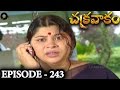 Episode 243 Chakravakam Telugu Daily Serial