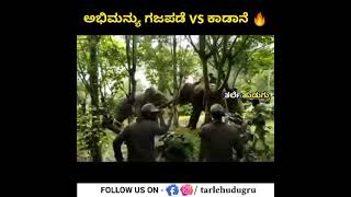 Abhimanyu vs Kadane super Abhimanyu 
