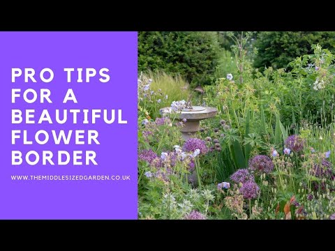How to plan a flower border - top professional tips