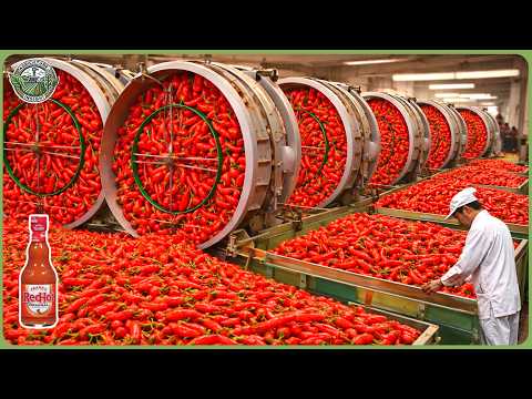 How Millions of Tons of CHILI Are Processed Into Hot Sauce - Inside Frank's Red hot Factory