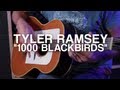 Tyler Ramsey - 1000 Blackbirds 