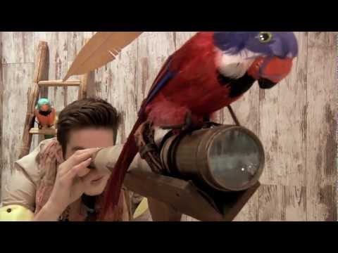 backstage karl Mommoo primavera-estate 2012