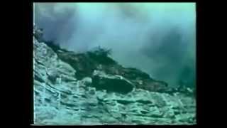 The Dwarves - Be A Caveman