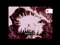 Timelapse Flowers Opening And Closing 1960s