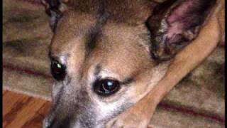 Over The Rainbow by Anne Murray