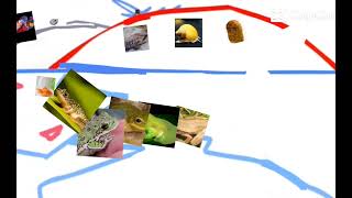 Animatic Battle intro but it's BFF (Battle For Frogs)