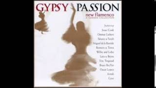 Gypsy Passion - Rockin' Gypsies