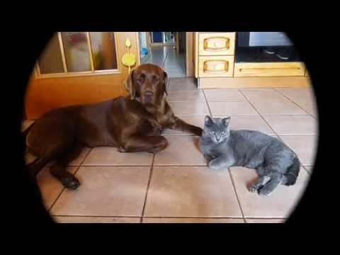 My sme dvaja kamaráti..