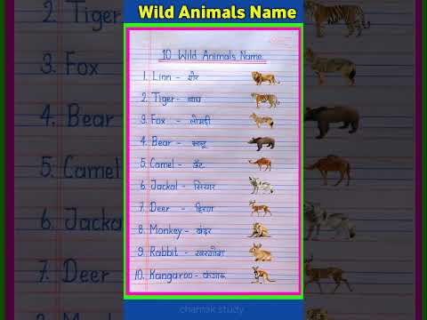 10 Wild Animals Name in Hindi and English | Wild Animals Name #wildanimals #shorts #wildanimalsname