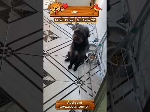 Vídeo de Luly