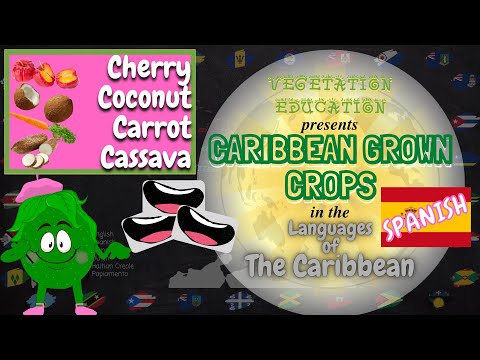 🇪🇸 Cherry, Coconut, Carrot & Cassava in in Spanish! #VegetationEducation