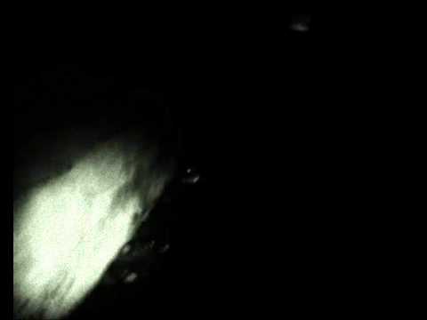 Hekte Zaren - In The Fullness Of Bloodshed And Death...