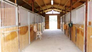 preview picture of video 'Louhans  propriété equestre 7 pièces 4 chambres à Louhan'