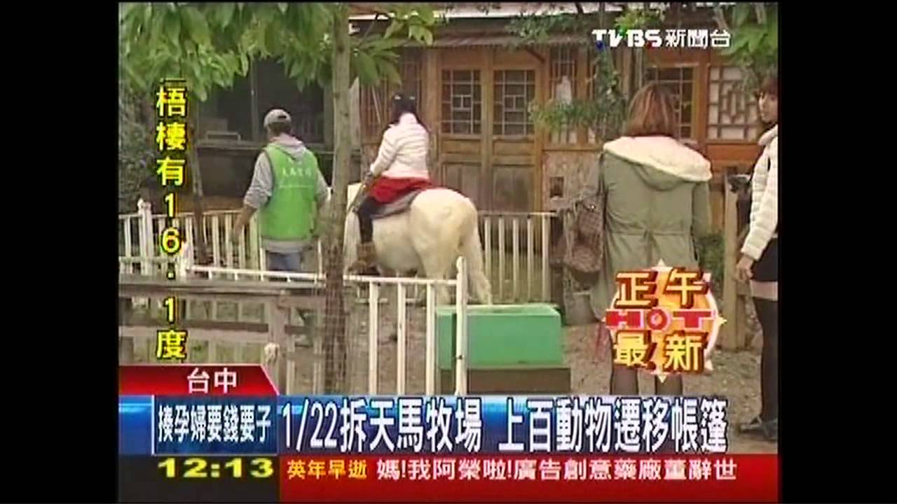 1/22拆天馬牧場　上百動物遷移帳篷