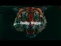 Dolby Walya - Slowed + Reverb | Ajay Atul
