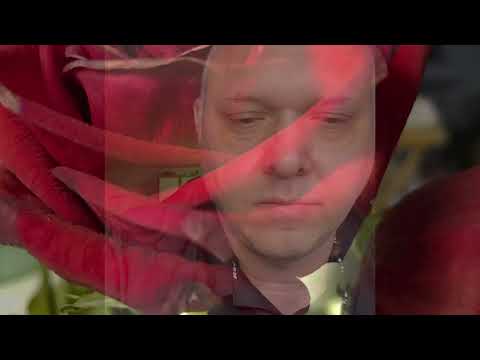 The ESV Bible reading part 2: Mark 12:1-44