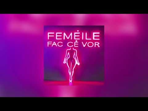 AlbertNBN X Jador X Petre Stefan  - Femeile fac ce vor | Official Audio