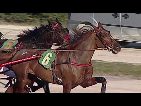 Aversa trotto 22 Gennaio 2020 - 1° Corsa