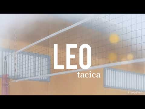 tacica ― LEO Lyrics Video (Kan/Rom/Eng)