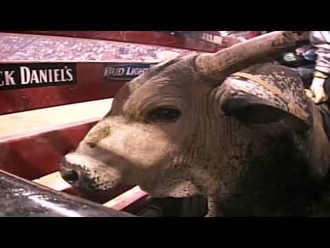 Blueberry Wine bucks Brian Canter - 05 PBR Finals