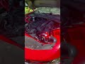 PRO CHARGED SCAT PACK REVS 🔥🔥 #shorts #procharged #scatpack #srt #392