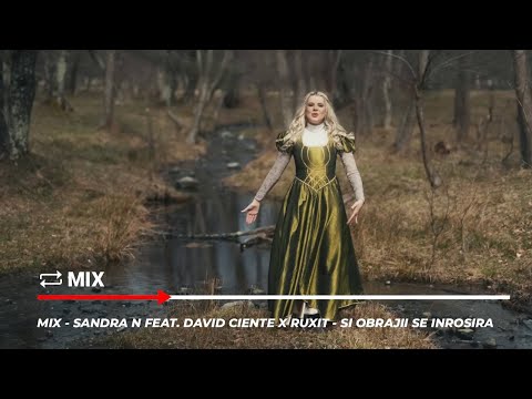 Mix - Sandra N feat. David Ciente x Ruxit - Si obrajii se inrosira