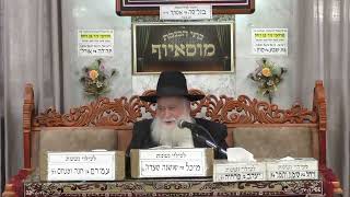 פרשת כי תבוא תשפ"ה בית הכנסת מוסאיוף