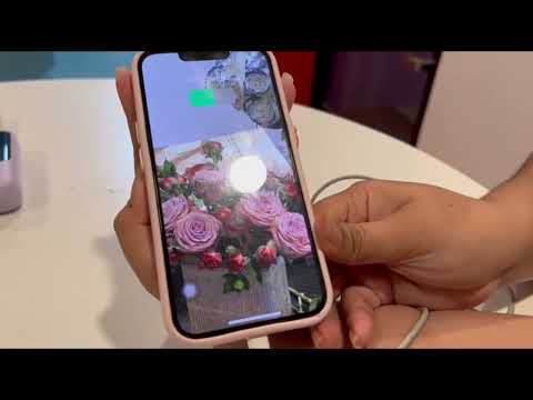 BLL1053 PRESENTATION SKILLS (Final Project)