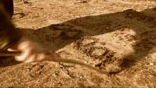 Sacred Oath "Counting Zeros"